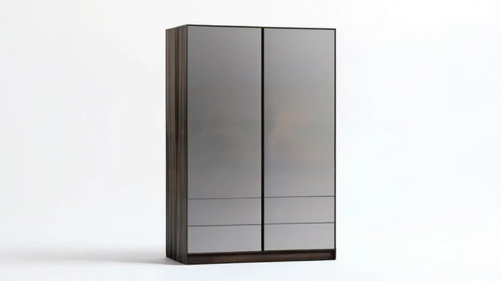 Szafa dwudrzwiowa z laminowanej płyty i szkła hartowanego, szaro-ciemnobrązowa, 100 × 60 × 200 cm